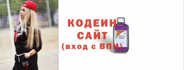 гидра Корсаков