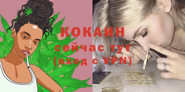 гидра Корсаков
