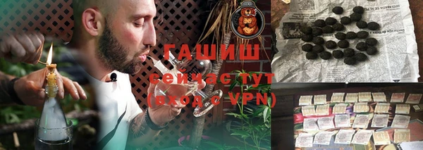 гидра Корсаков
