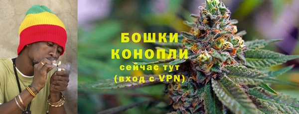 гидра Корсаков